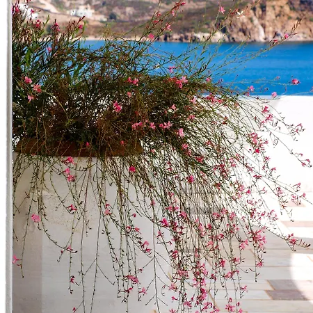 Patmos Paradise Hotel 3*