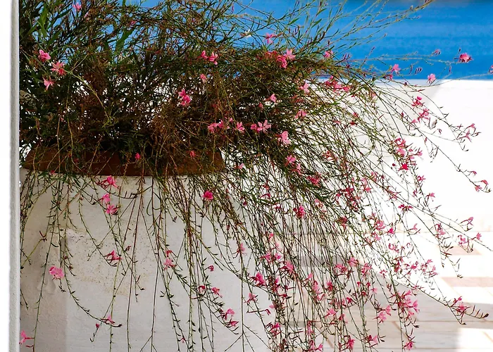 Patmos Paradise Hotel 3*