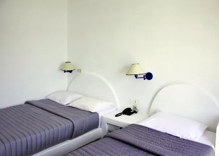 Patmos Paradise 호텔 3*